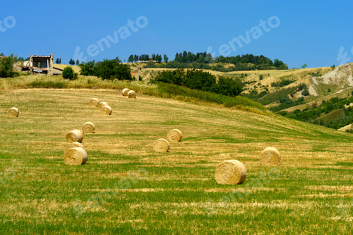 Preview: Country landscape near Castrocaro and Predappio, Emilia-Romagna