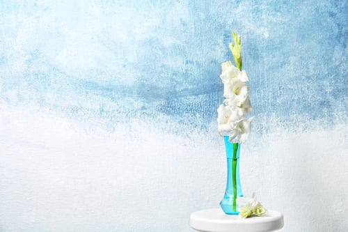 Preview: Vase with beautiful gladiolus flowers on table against color background