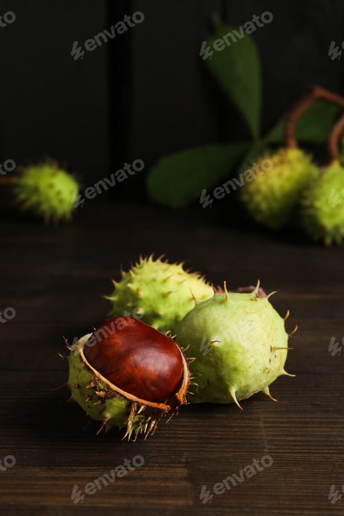 Preview: Fresh and ripe chestnuts, close up, Autumn chestnuts