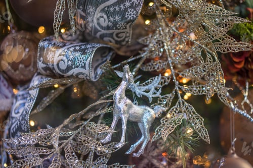 Preview: Christmas decorations on the branches