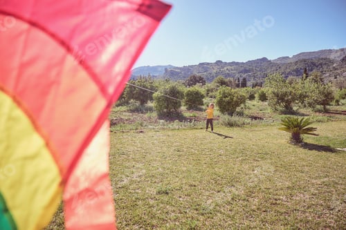 Preview: Boy with kite on field