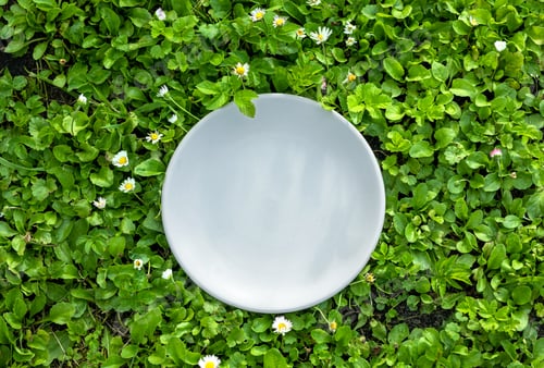 Preview: empty white plate