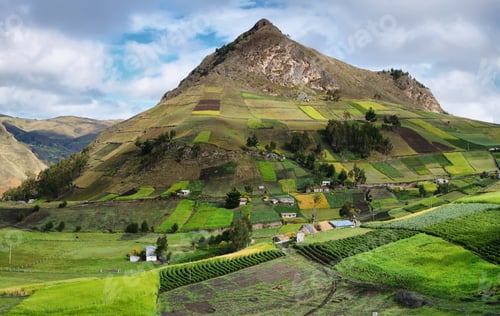 Preview: View of colorful terrace fields