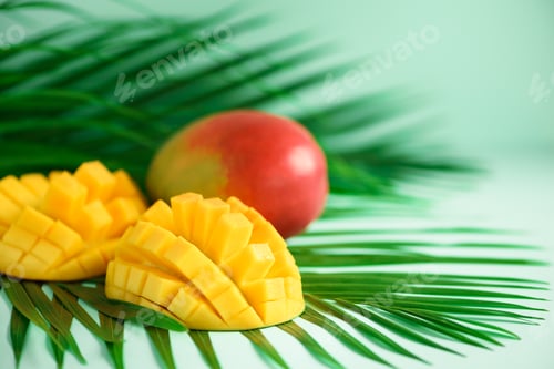 Preview: Exotic mango fruit over tropical green palm leaves on turquoise background. Copy space. Pop art