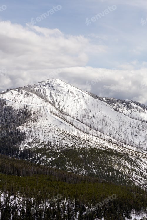 Preview: Snow-Capped Mountain Landscape in Winter, Yellowstone National Park, Wyoming, USA