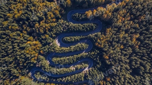 Preview: Curved road trough the forest