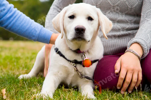 Preview: KaceyKlonsky