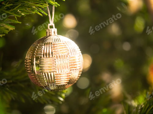Preview: Gold Bauble on Green Christmas Tree Branch