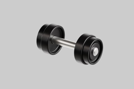 Preview: Black dumbbell with silver handle and rubber wheels