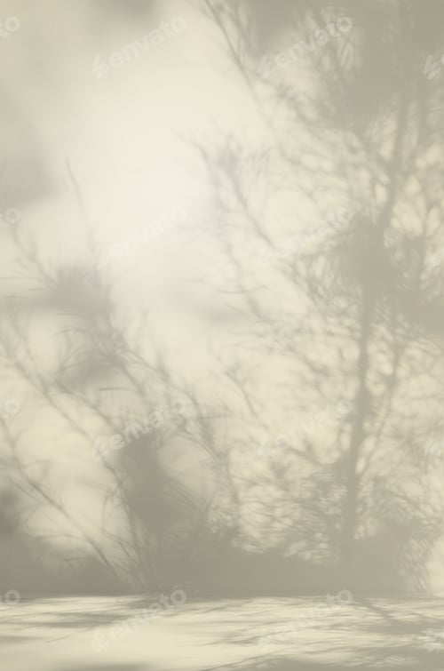Preview: Background Studio Room Autumn with Wall Shadow Leaves Plant