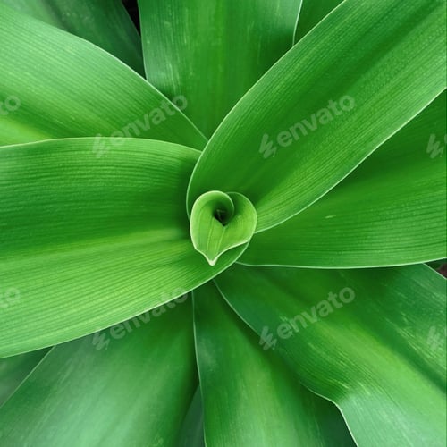 Preview: Leaf