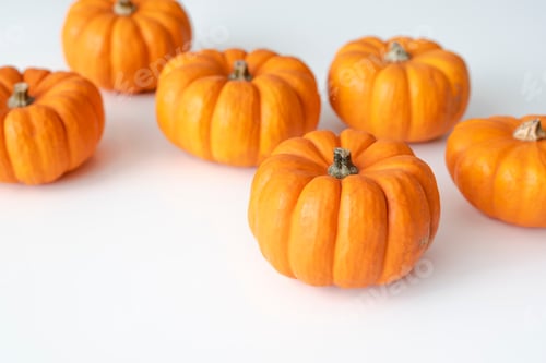 Preview: Mini pumpkins on a white background.