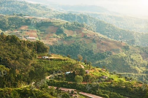 Preview: Landscape in Malaysia