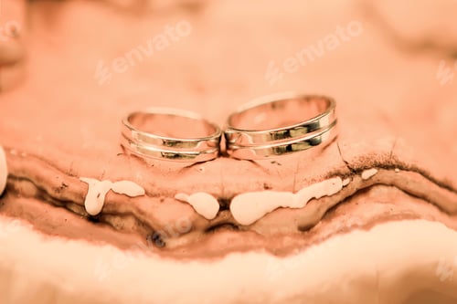 Preview: edding rings lie luxuriously stand and are highlighted in the color of the year 2024 peach fuzz.