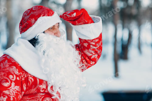 Preview: Santa Claus with long white beard looking forward in the winter forest.