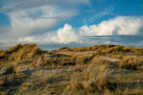 Preview: sand and marram grass on the beach during a sunny day with the horizon and sky in the background