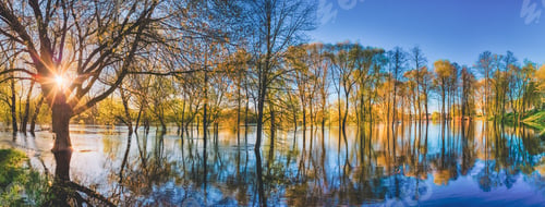Preview: Reflection Of Trees In The River At Dawn