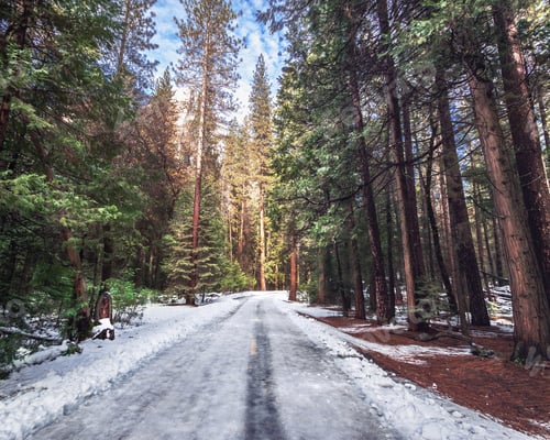Preview: Road covered with snow at winter - Yosemite National Parl, California, USA