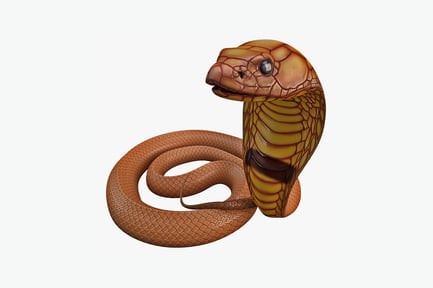 Preview: Coiled cobra with open mouth
