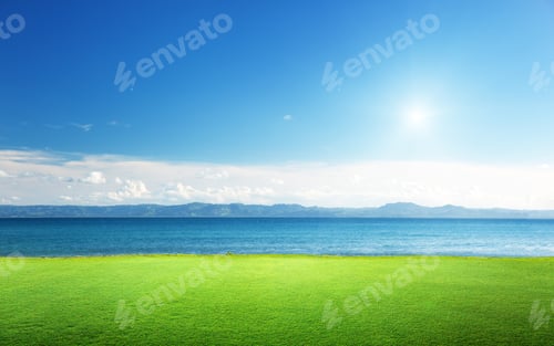 Preview: Green Grass And Caribbean Sea