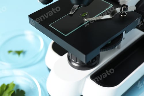 Preview: Food quality control. Glass slide with parsley under microscope on table, closeup