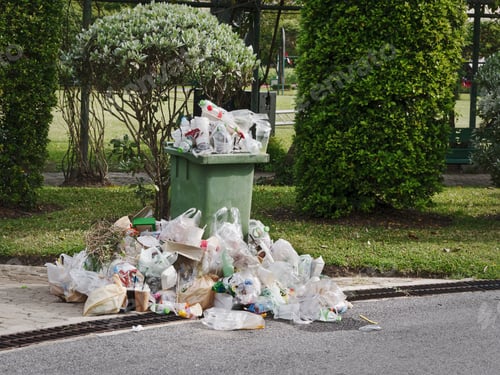 Preview: Waste Bin and Overflowing Garbage on Street