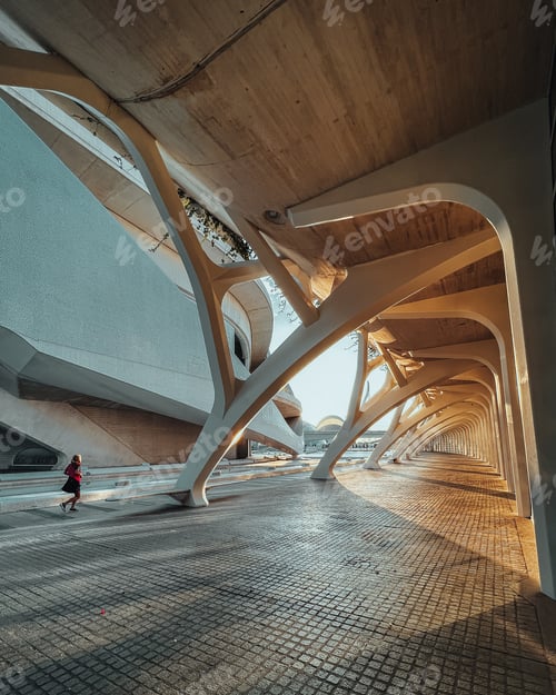 Preview: Modern architecture of Valencia
