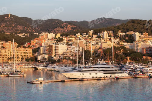 Preview: Boats in a Marina with Downtown City Buildings by Balearic Sea. Palma, Balearic Islands, Spain.