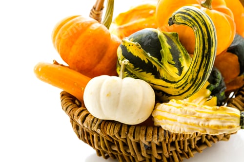 Preview: Mini pumpkins
