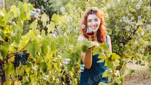 Preview: Happy girl with glass of red wine in the vineyard