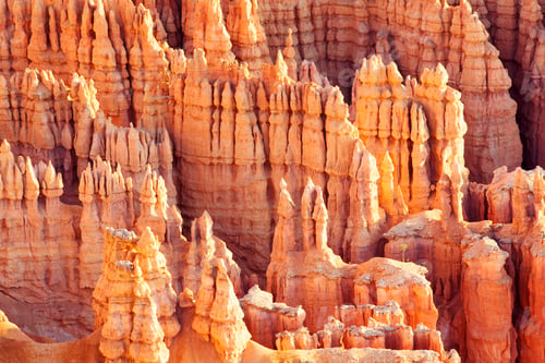 Preview: Bryce Canyon
