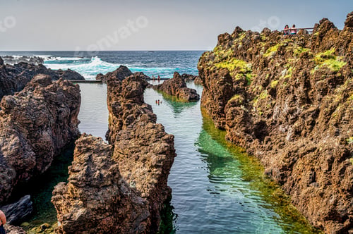 Preview: a body of water filled with green algae next to rocks