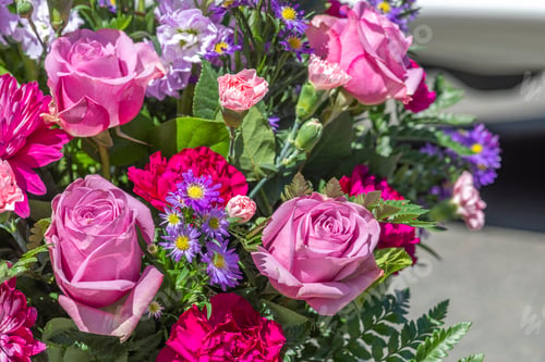 Preview: Close-up photo of blossoming colorful flowers