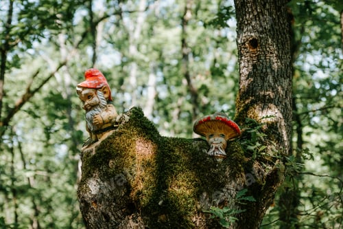 Preview: Closeup shot of garden gnomes on an old tree in the woods