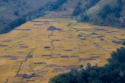Preview: Traditional farming.