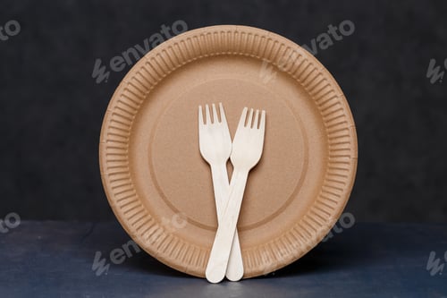 Preview: Disposable cardboard dishes made from environmentally friendly materials. Doesn't clog nature