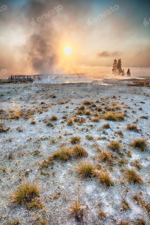 Preview: 53957,Steam rising from geyser at sunrise, Yellowstone National Park, Wyoming, United States