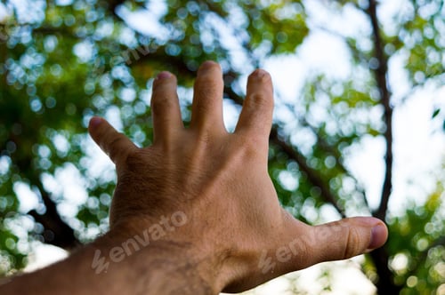 Preview: Left male hand reaching out the light through the trees in the background with bokeh effect