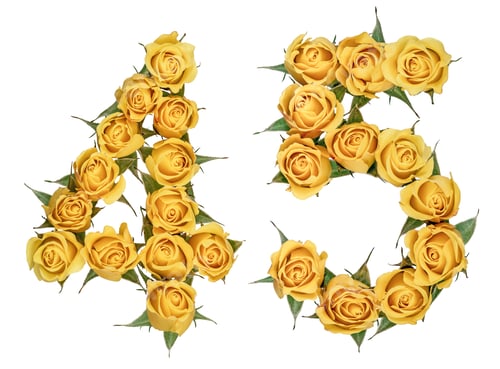 Preview: Arabic numeral 45, forty five, from yellow flowers of rose, isolated on white background