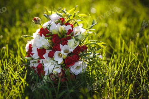 Preview: Bouquet of red and white roses flowers on the grass with evening sun