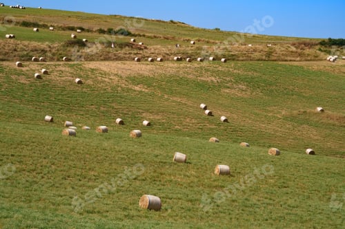 Preview: Country landscape near Tricarico and San Chirico, Basilicata, Italy