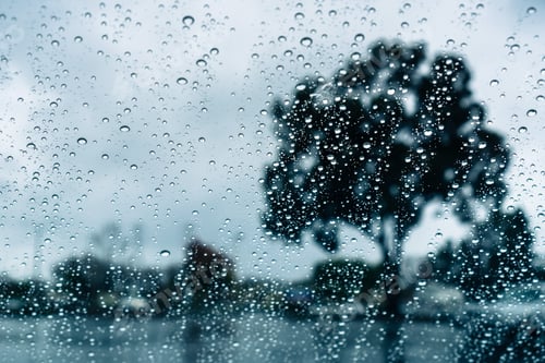 Preview: Dark and rainy day; raindrops on the windshield; tree shapes visible in the background