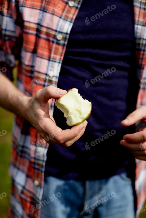 Preview: Mid section of a man wearing a plaid shirt, holding a half eaten apple.