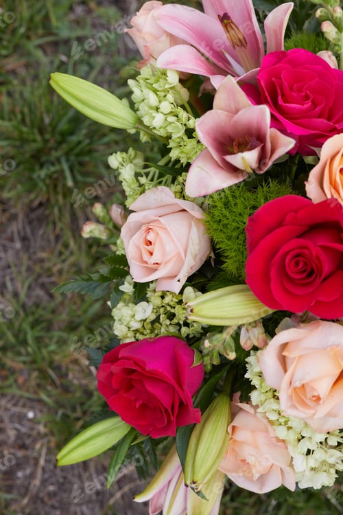 Preview: Close-up photo of colorful fresh flowers at the Garden