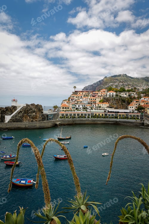 Preview: Vertical shot of Camara Lobos on the island of Madeira with colorful boats and buildings on coast
