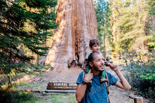 Preview: USA, California, Father and baby visiting Sequoia National Park