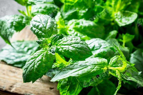 Preview: Healthy food. Mint on tray.