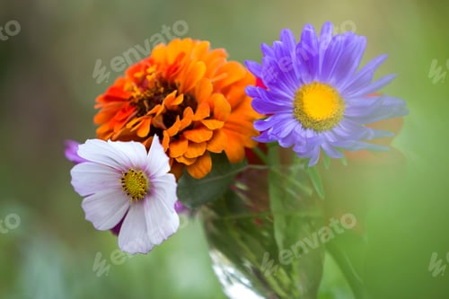 Preview: Close-up of beautiful autumn bright multicolored field flowers composition in transparent glass vase