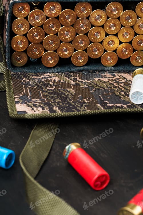 Preview: Set of cartridges for a hunting shotgun