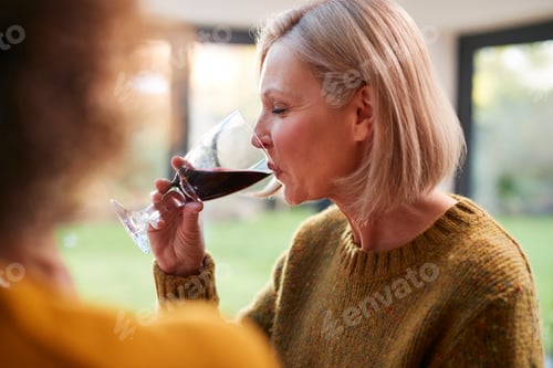 Preview: Two Mature Female Friends Meeting At Home To Talk And Drink Wine Together